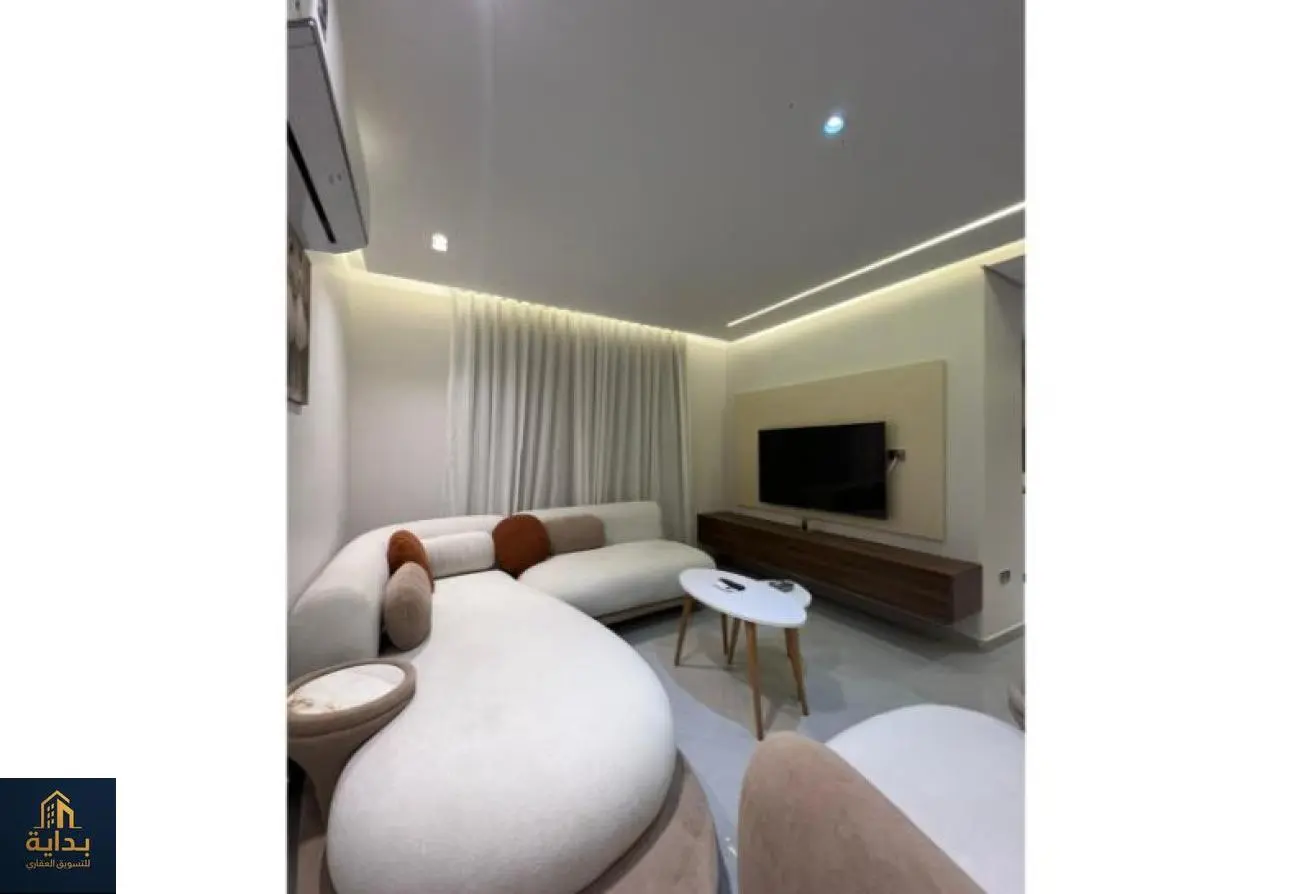 VIP two-bedroom apartment on Abbas El Akkad main street