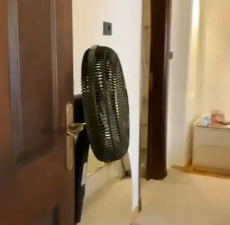 800